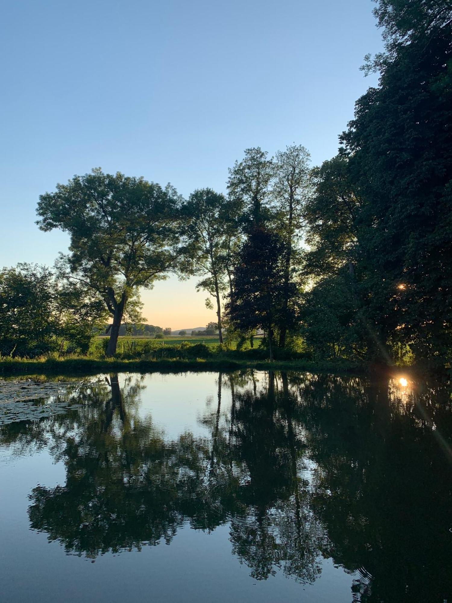 Wohnen Im Wasserschloss Sandizell Schrobenhausen Eksteriør billede