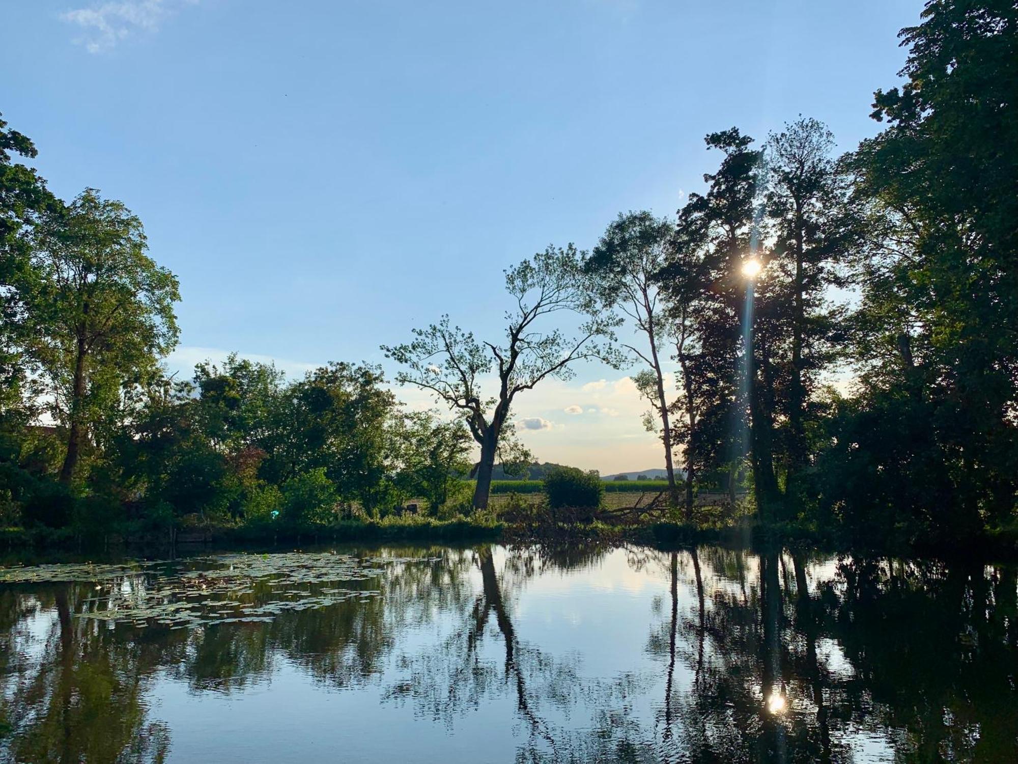Wohnen Im Wasserschloss Sandizell Schrobenhausen Eksteriør billede